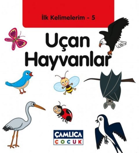 Uçan Hayvanlar / İlk Kelimelerim -5
