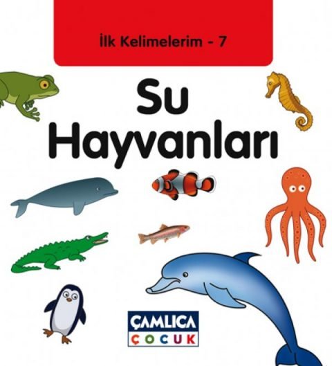 Su Hayvanları / İlk Kelimelerim-7