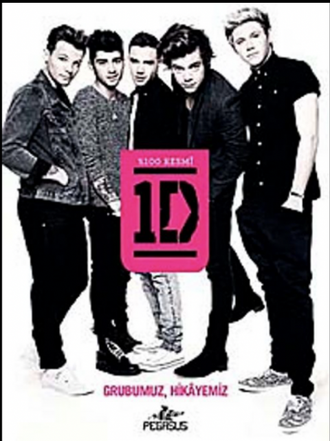 One Direction: Grubumuz, Hikayemiz